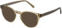 SFE-11497 sunglasses in Green