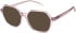 SFE-11496 sunglasses in Pink