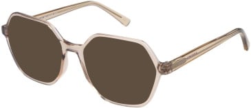 SFE-11496 sunglasses in Brown