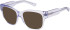 SFE-11494 sunglasses in Purple