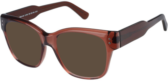SFE-11494 sunglasses in Brown