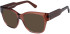 SFE-11494 sunglasses in Brown
