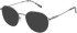 SFE-11493 sunglasses in Silver
