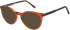 SFE-11492 sunglasses in Orange