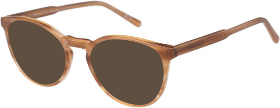 SFE-11490 sunglasses in Brown