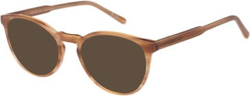 SFE-11490 sunglasses in Brown