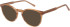 SFE-11490 sunglasses in Brown