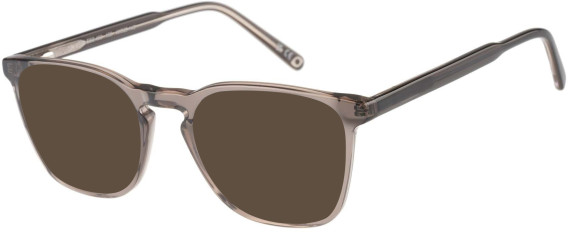SFE-11486 sunglasses in Grey