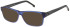 SFE-11485 sunglasses in Blue/Black