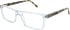 BOTANIQ BIO1047 glasses in Crystal/Tortoise