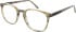Botaniq BIO 1044 in Brown Horn