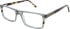 BOTANIQ BIO1047 glasses in Clear Grey/Tortoise