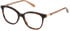 Mulberry VML240 glasses in Shiny Classic Havana
