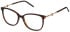 Mulberry VML247 glasses in Shiny Classic Havana