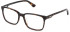 Police VPLN81 glasses in Dark Havana