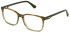 Police VPLN81 glasses in Striped Brown/Green