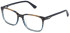 Police VPLN81 glasses in Striped Brown/Blue