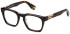Police VPLN64-53 glasses in Shiny Havana