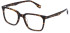 Police VPLG73E-51 glasses in Shiny Brown/Havana