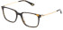 Police VPLP15-52 glasses in Shiny Dark Havana