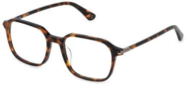 Police VPLP13-53 glasses in Shiny Havana