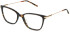 Mulberry VML283 glasses in Shiny Dark Havana
