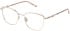 Mulberry VML246 glasses in Shiny Light Gold/Cream
