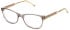 Mulberry VML241 glasses in Grey/Beige