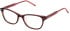 Mulberry VML241 glasses in Havana/Pink