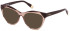 Furla VFU766V sunglasses in Shiny Transparent Light Brown