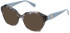 Furla VFU822 sunglasses in Shiny Grey Havana