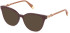 Furla VFU832-52 sunglasses in Full Bordeaux