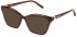Furla VFU876 sunglasses in Shiny Dark Bordeaux
