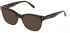 Mulberry VML220-50 sunglasses in Shiny Dark Havana