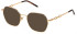 Mulberry VML244 sunglasses in Shiny Total Rose Gold