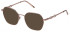 Mulberry VML244 sunglasses in Total Shiny Copper