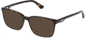 Police VPLN81 sunglasses in Dark Havana