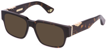 Police VPLP11 sunglasses in Shiny Dark Havana