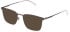 Police VPLQ70-55 sunglasses in Shiny Gun