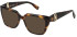 Furla VFU866 sunglasses in Shiny Dark Havana