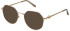 Furla VFU870 sunglasses in Rose Gold/Brown