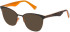 Police VPL417 sunglasses in Shiny Full Brown/Orange