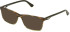 Police VPLN82-54 sunglasses in Striped Brown/Green