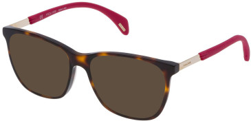 Police VPL630-53 sunglasses in Havana