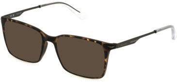 Police VPLL62-55 sunglasses in Shiny Dark Havana