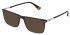 Police VPLQ68-52 sunglasses in Shiny Dark Havana