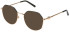 Furla VFU870 sunglasses in Shiny Copper Gold/Black