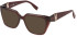 Furla VFU866 sunglasses in Shiny Dark Bordeaux