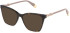 Furla VFU833-52 sunglasses in Shiny Dark Havana