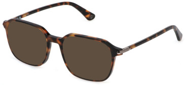Police VPLP13-53 sunglasses in Shiny Havana